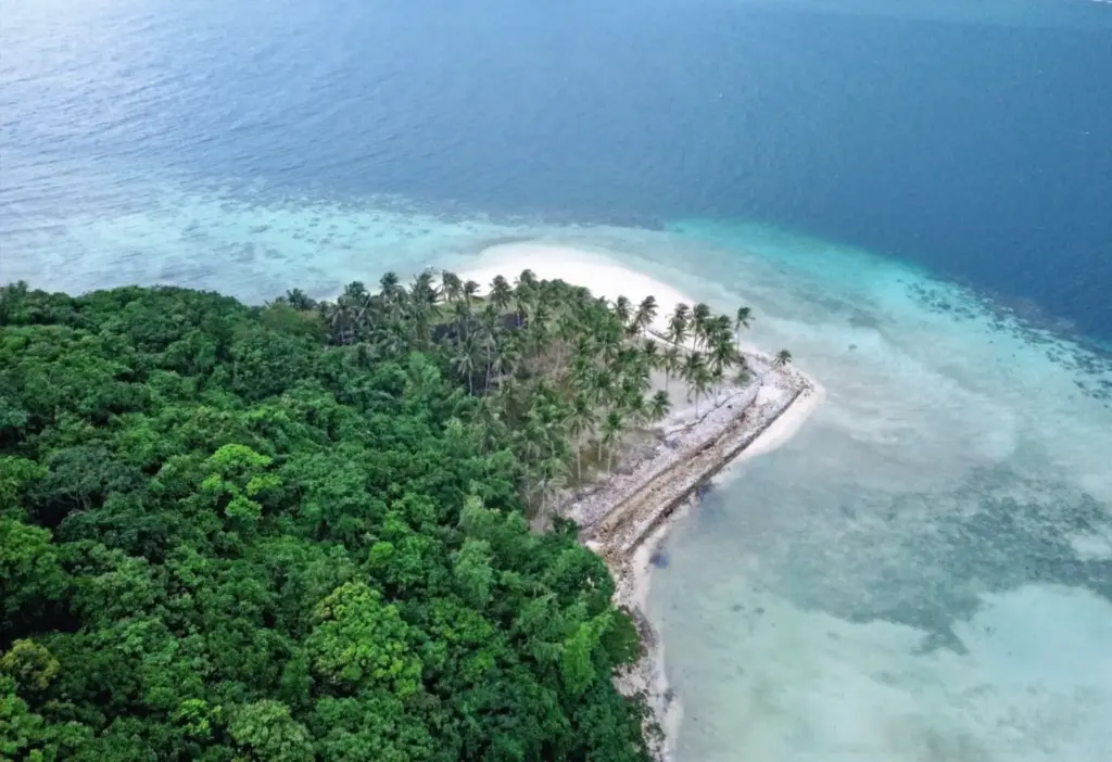 High-angle aerial drone view of a lush green tropical island featuring a white sand beach tip extending into clear turquoise and deep blue ocean waters in El Nido.